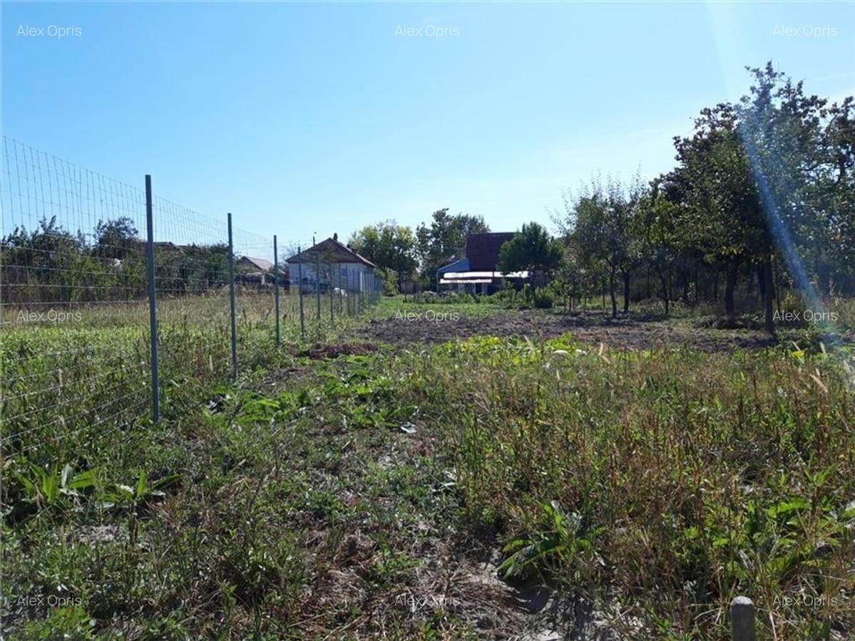 Casă cu teren generos de 1057 mp ? Ghiroda, zona centrală - 11