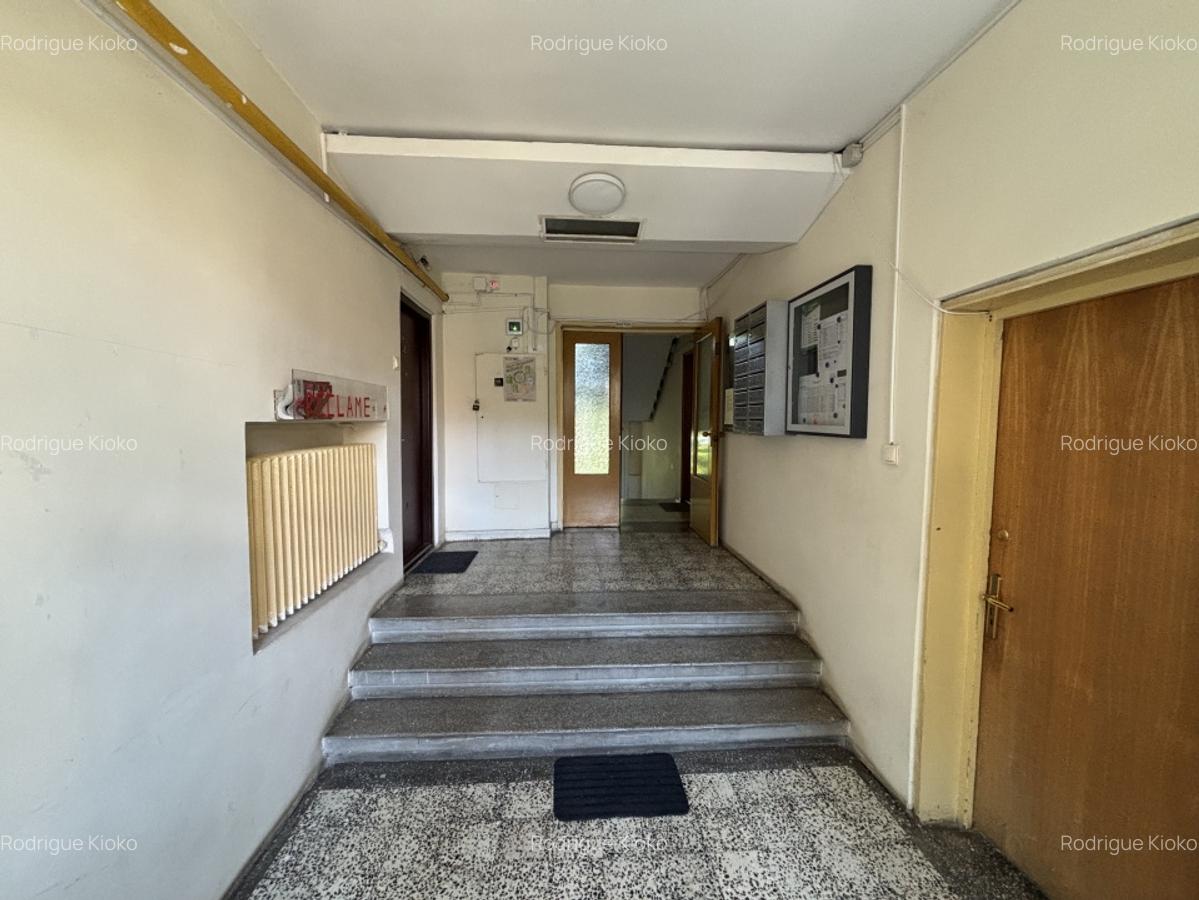 Apartament 3 camere complet renovat, centrala proprie, Dristor - 14