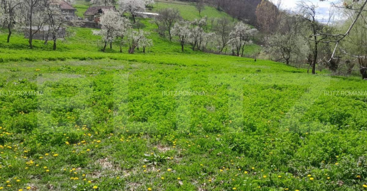 Casa individuala, 5500 mp teren, zona Vintu de Jos, Inuri - 2