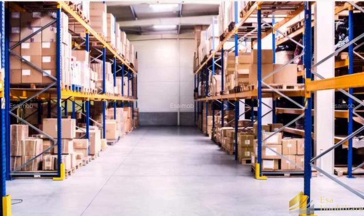 Hale de inchiriat: 280-450-550mp- Bragadiru - 4