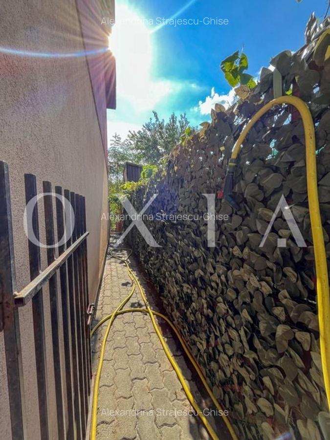 SX623 Freidorf - Casa insiruita(Capat) - COMISION 0% - 16