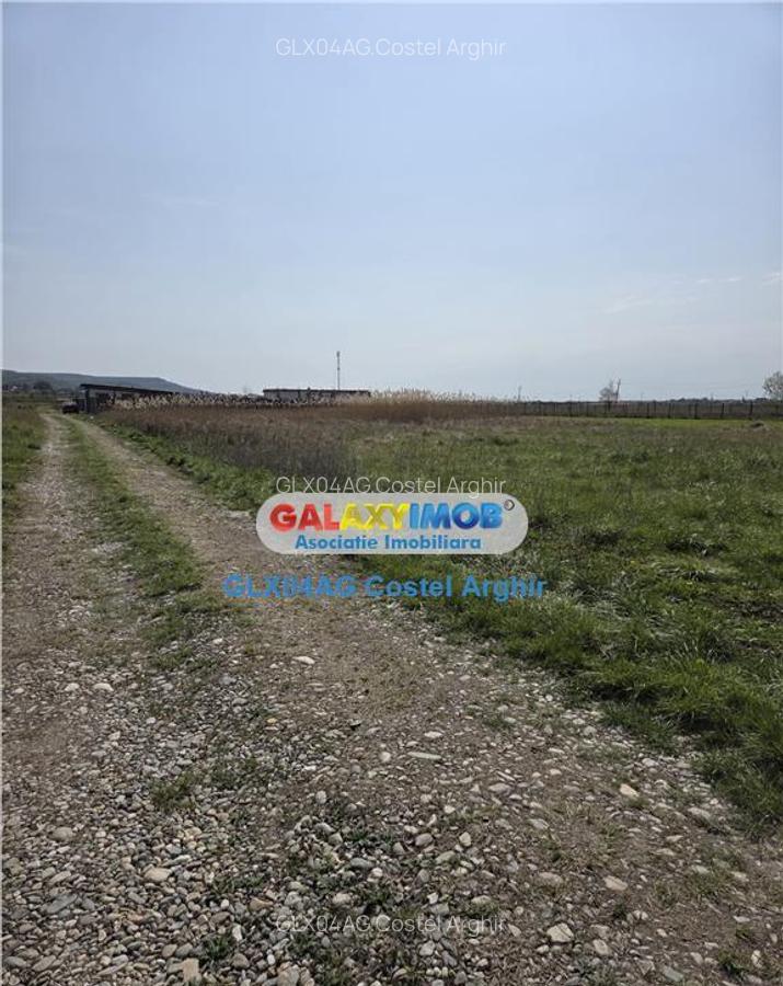 Vindem teren intravilan CC 620 mp in Calinesti - 7