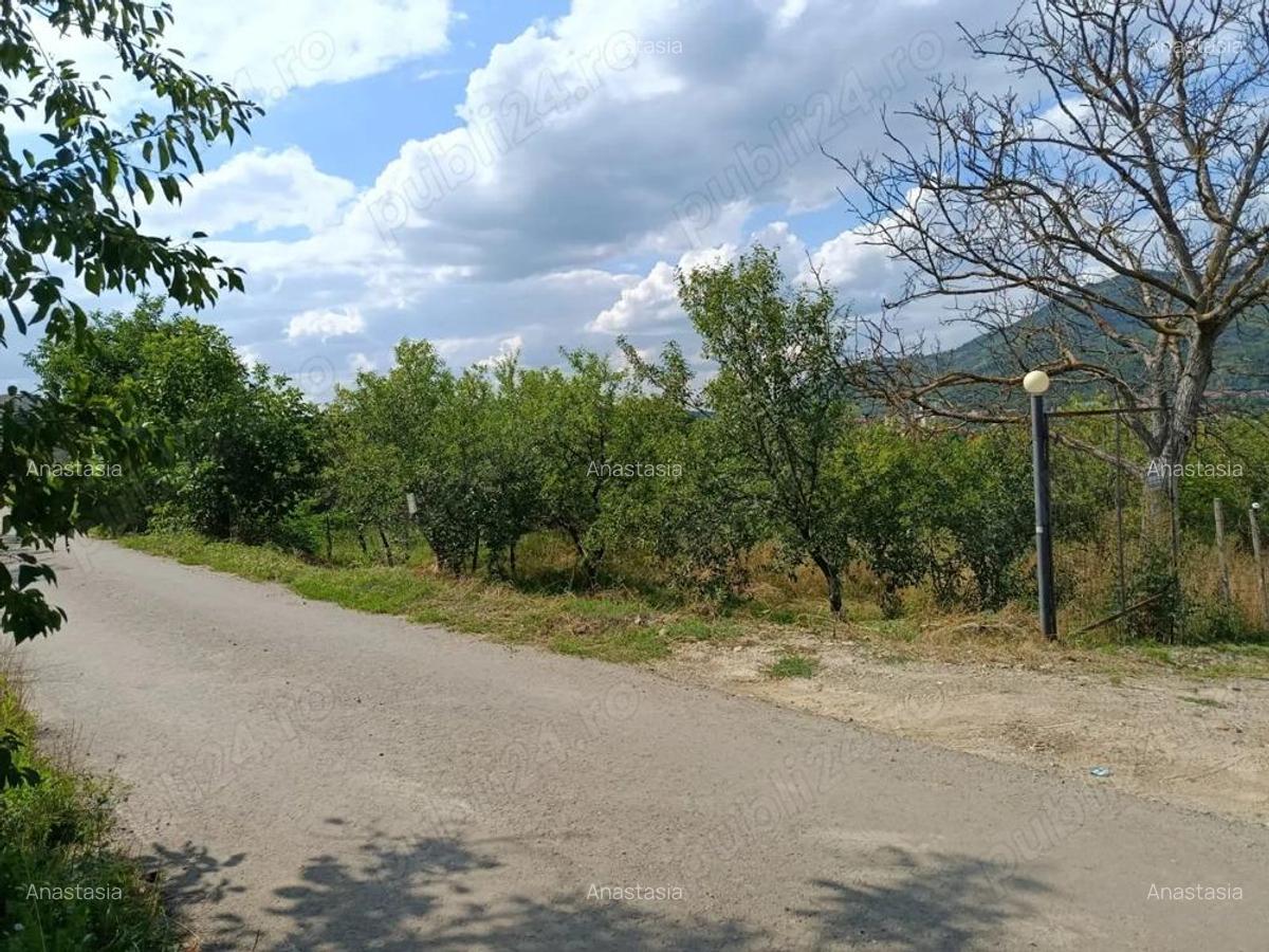 Teren intravilan 1.000 mp loca?ie deosebita, priveli?te ?i lini?te Simleu Silvaniei - 2