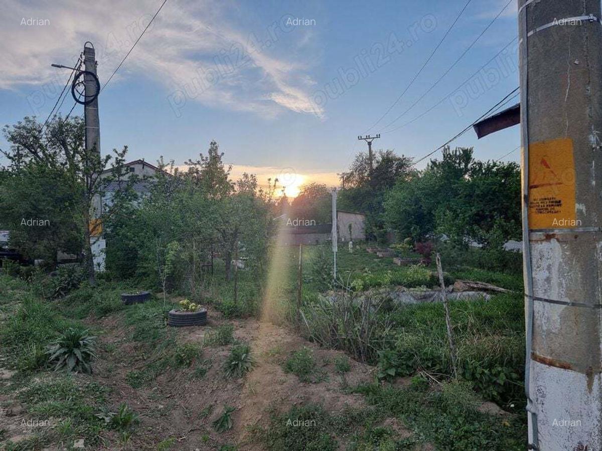 Casu?a cu teren , Ciolpani - Piscu - 5