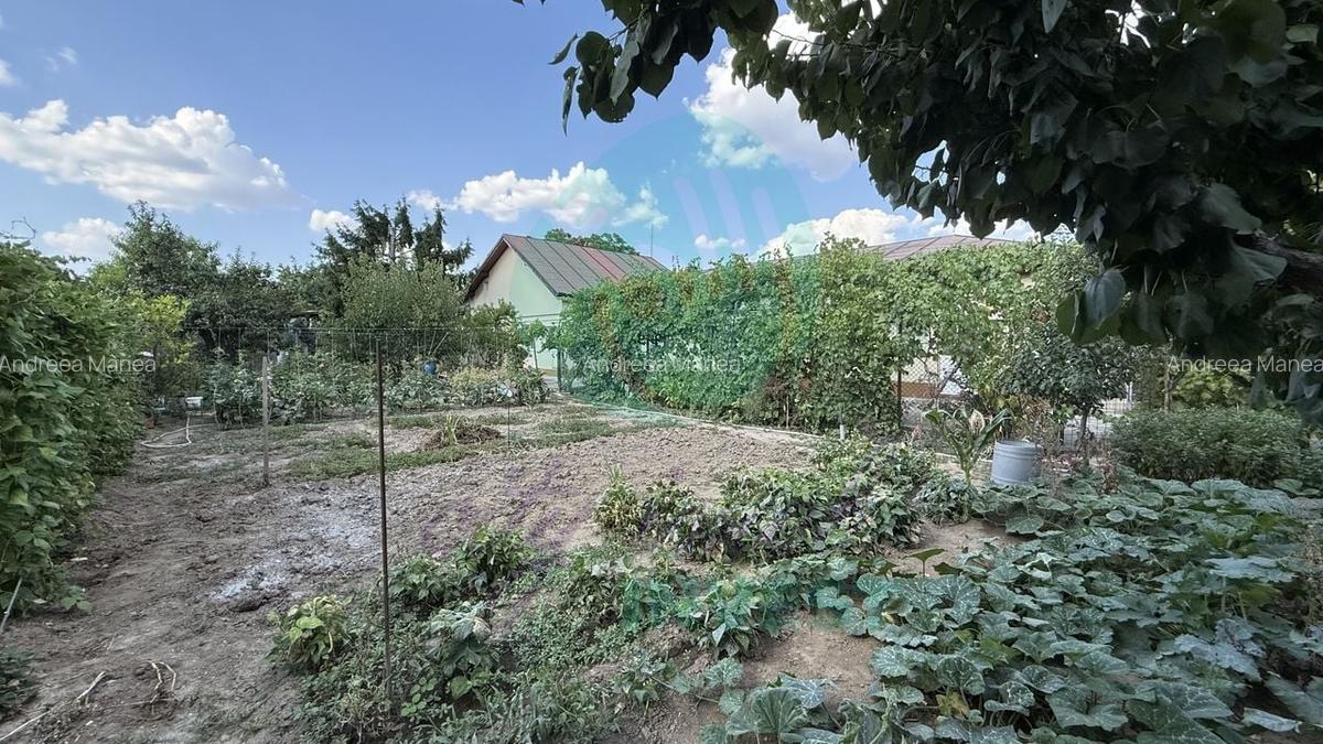 Casă parter + 1100 mp teren în Popești-Leordeni - 2