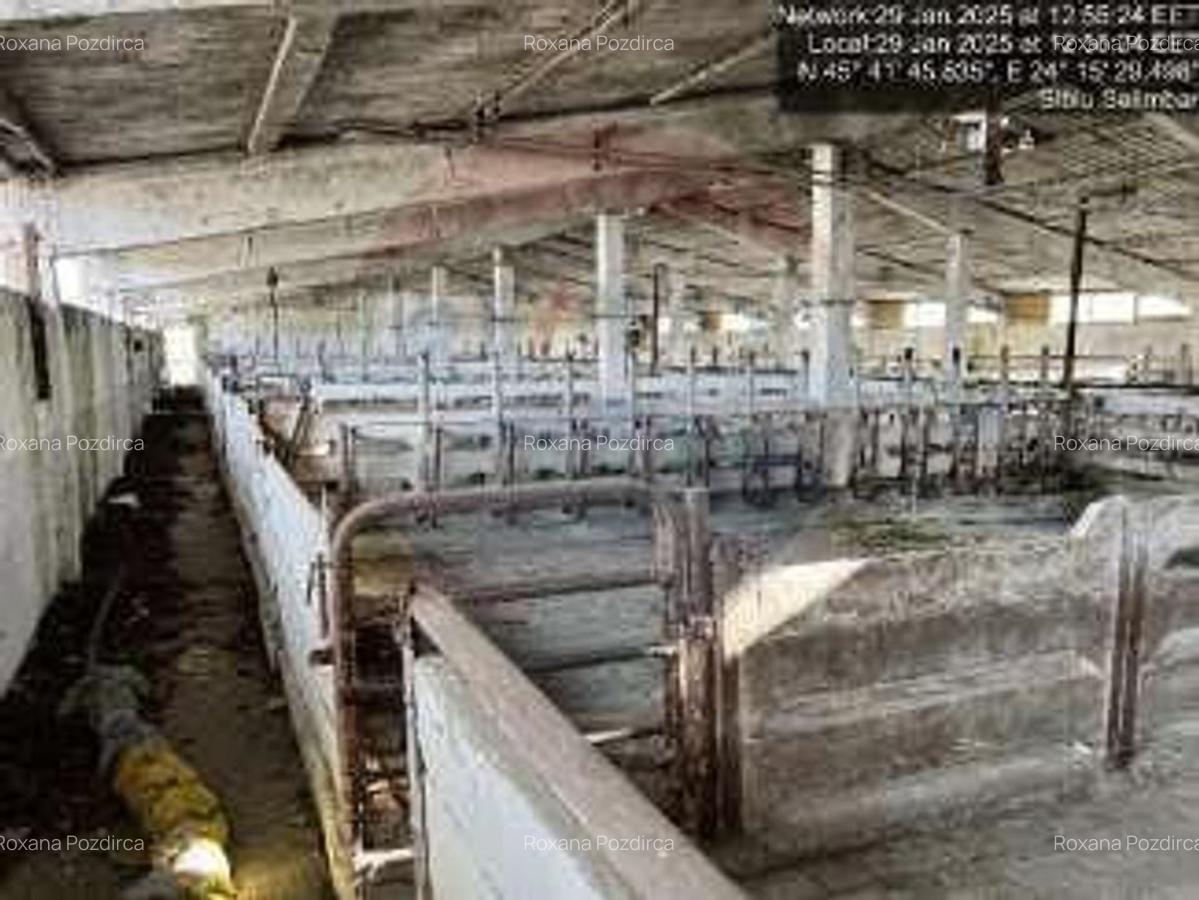 Ferma zootehnica functionala, cu teren generos si acces auto direct - 4