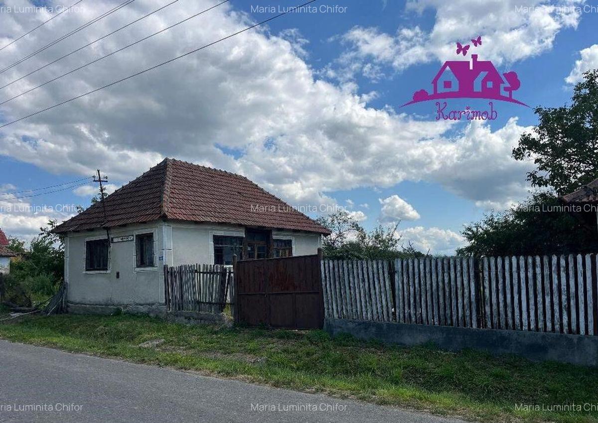 Casa in localitatea Carandeni - 4