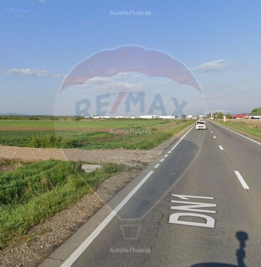 Teren intravilan de vanzare 3.675 mp Sabolciu, dire... - 4