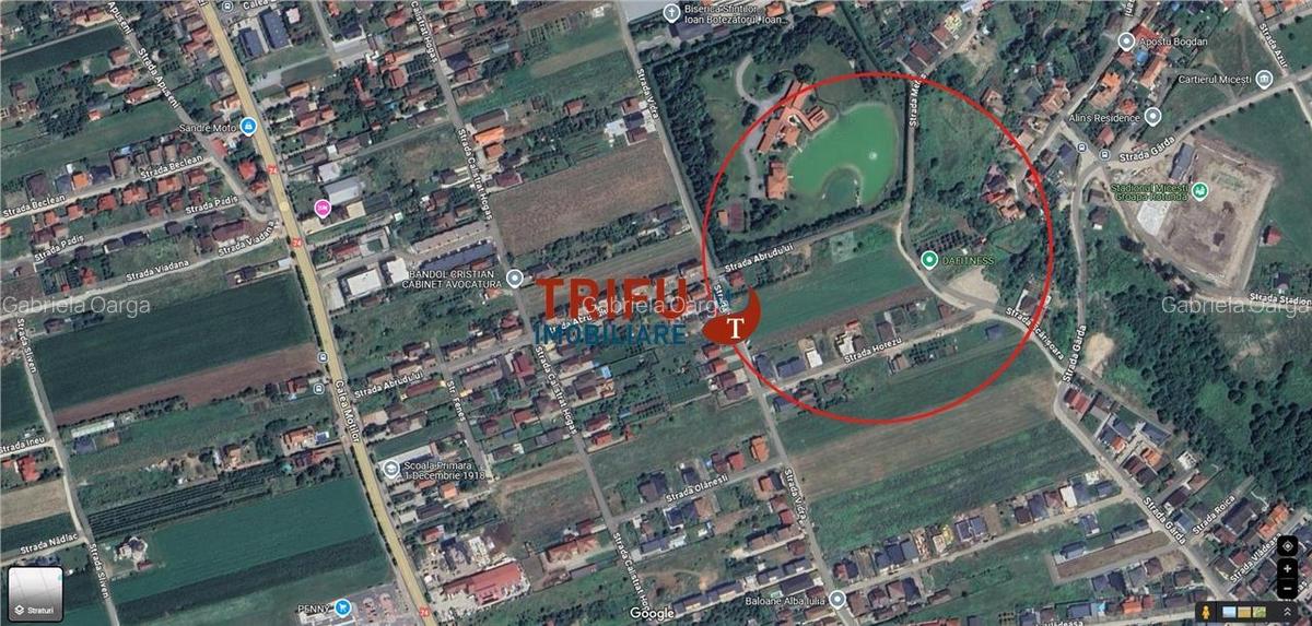 Teren Intravilan de Vanzare in Alba Micesti  Oportunitate Unica! - 5