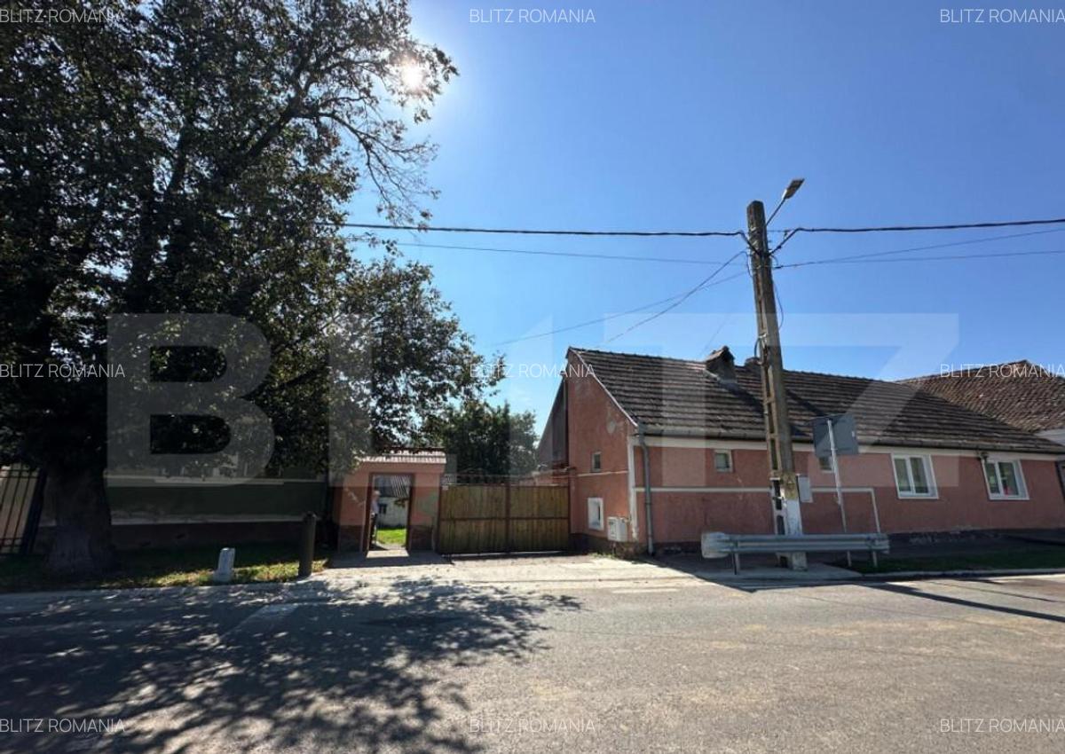 Casa saseasca de vanzare, curte, gradina, teren 3000 mp - Ji - 2