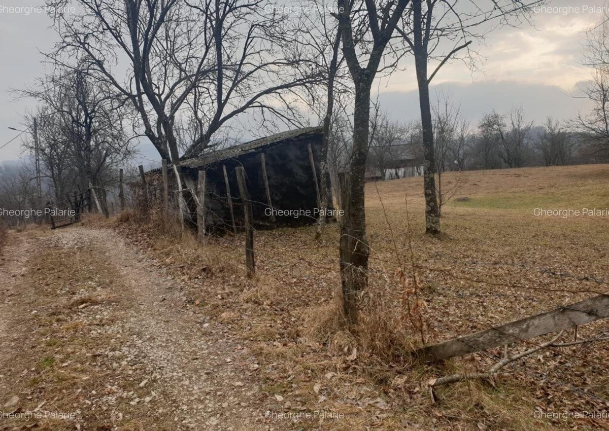 Vand teren 2911mp intravilan, sat Brebu, jud. Dambovita - 6