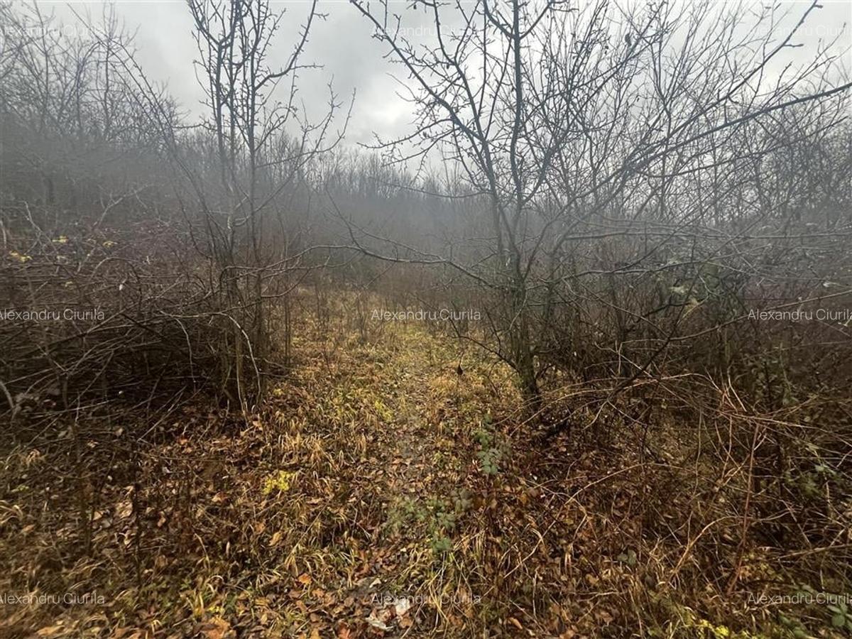 Teren intravilan 653 mp in Boldesti-Scaeni. - 10