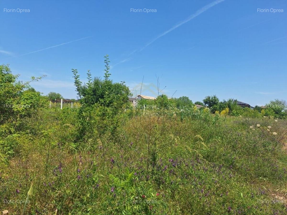 STR.APUSULUI-TEREN INTRAVILAN-2000 MP - 3