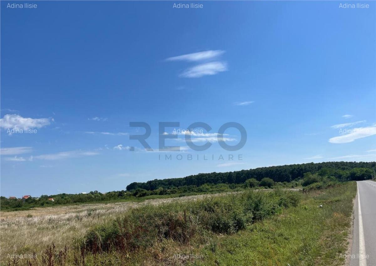 RECO Teren intravilan pentru casa- Les cu PUZ aprobat - 6