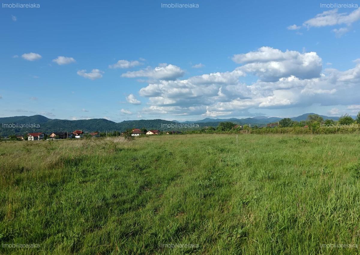 Merisor, 54 ari teren - 1
