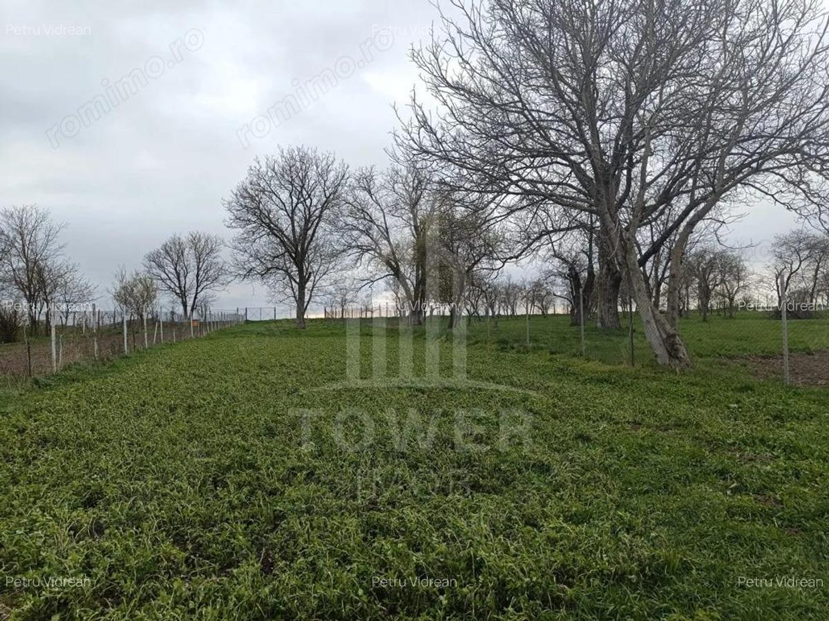 Casa de vanzare in satul Ro?ia cu vedere panoramica spre Mun?ii Fagaras - 19