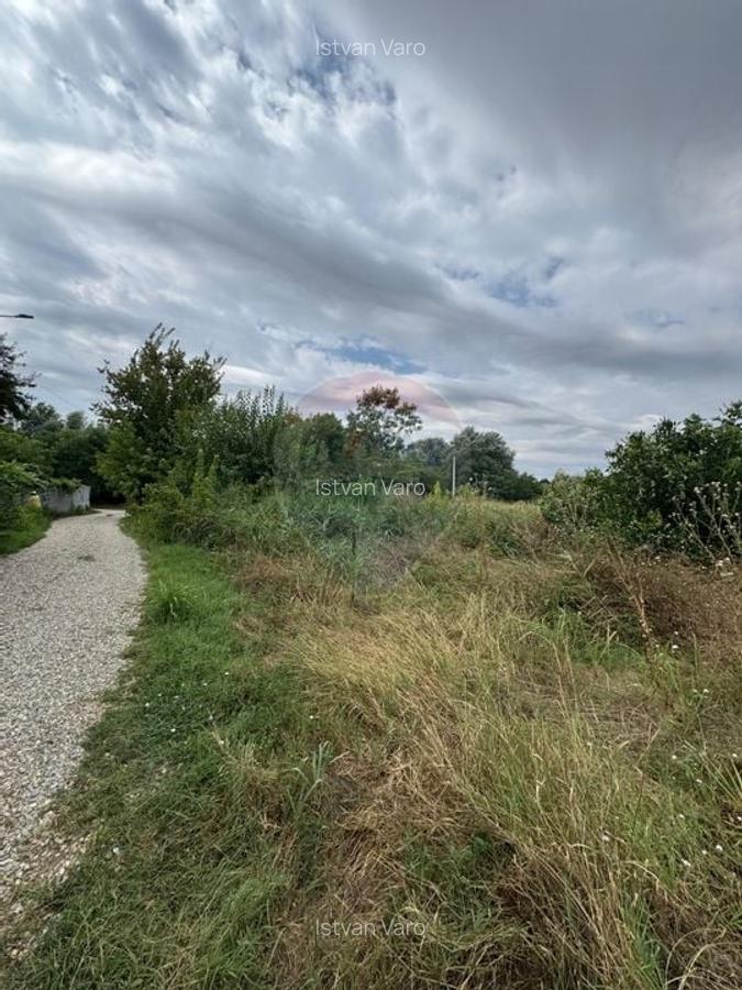 De vanzare teren intravilan 1300 mp - Magurele, Ilfov - 5