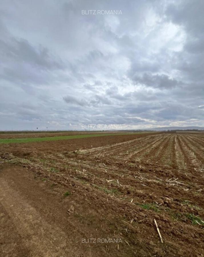 Teren extravilan 2500 mp,cu acces la Centura ,Radauti - 3