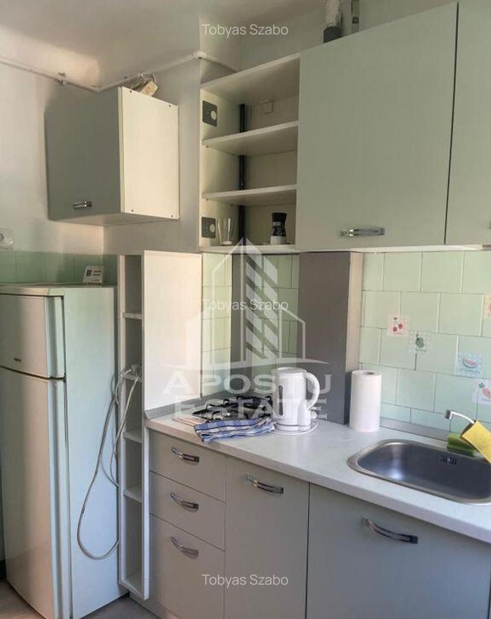Apartament cu 2 camere, renovat, nemobilat, cu clima, in ... - 8