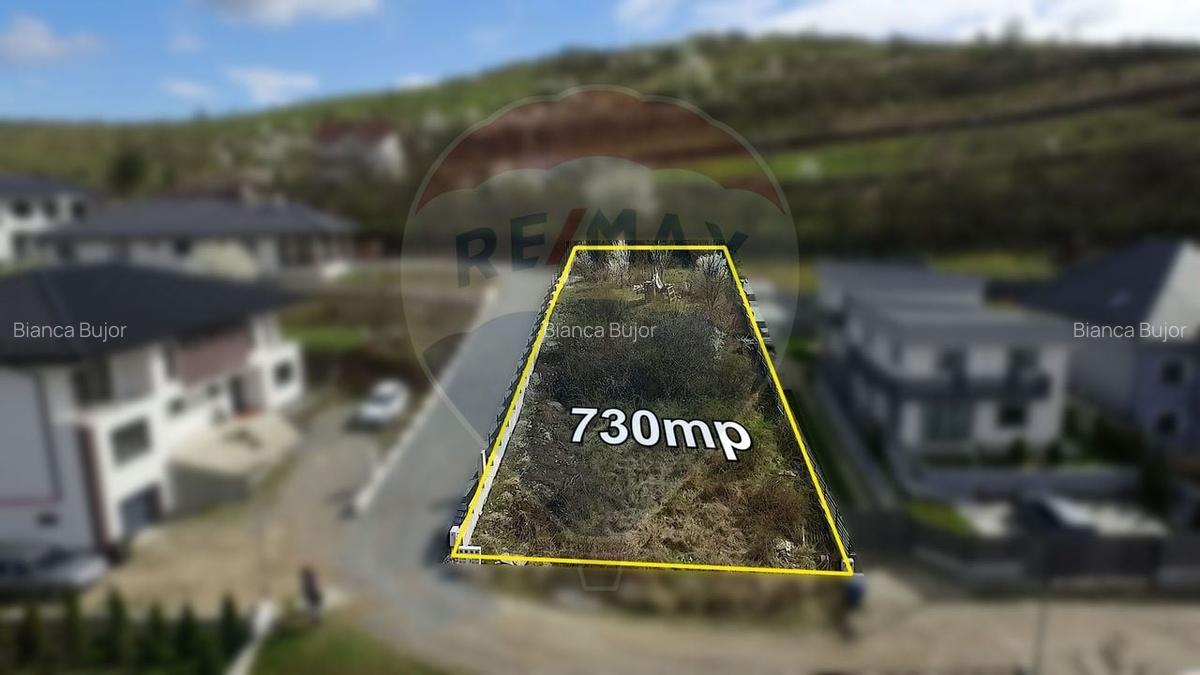 Teren intravilan de vanzare - 730mp - Dezmir - Strada Padurii - 2