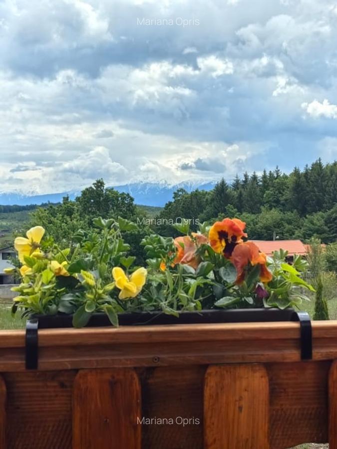 Casa individuala | 100 mp casa + 1500 mp teren | Tocile, judetul Sibiu - 17