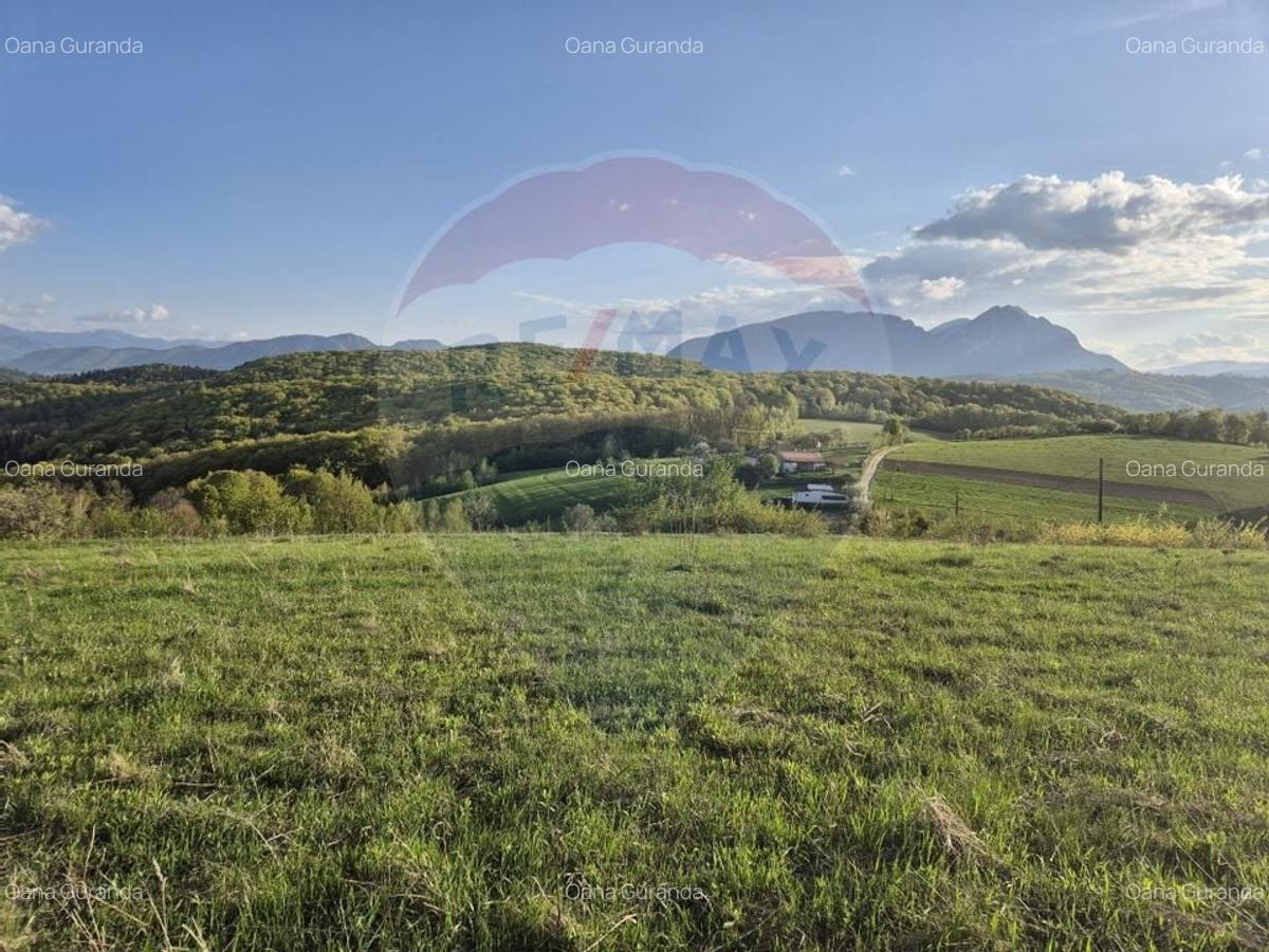 Teren Construcții intravilan de 11600 mp, în Poiana Mărului - 20