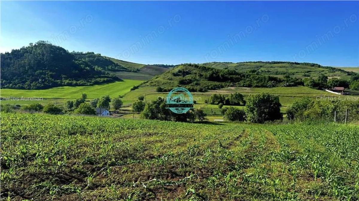 Vand teren intravilan in Sanisor cu suprafata de 4946 mp - 1