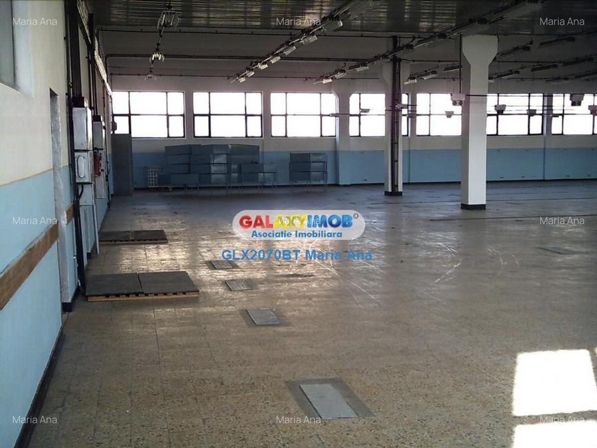Oportunitate: Spatiu Industrial P+1E 3.900 mp. cu 7.300 mp. teren! - 4