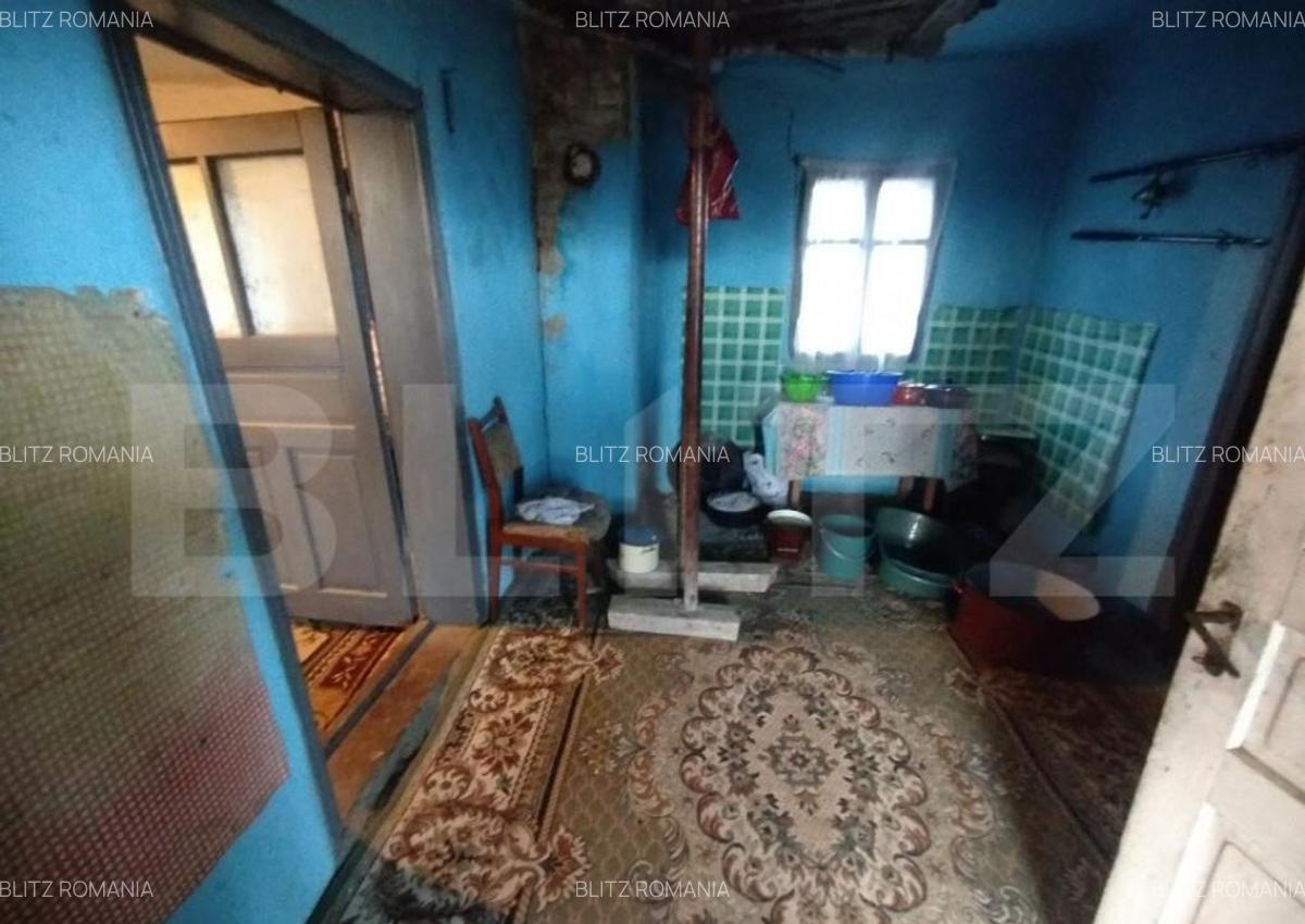 Casa batraneasca,55mp utili, teren aferent 2700mp+1ha teren - 7