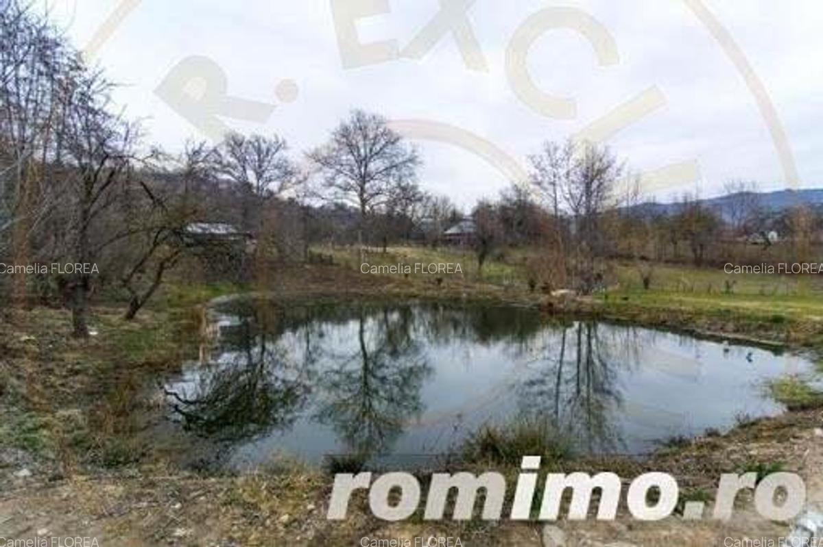 Pensiunea cu lac si ciubar Nucsoara-Arges-Afacere la Cheie - 2