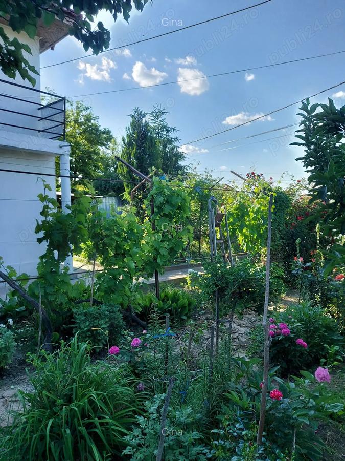 Casa Cataloi 2000 mp. - 4