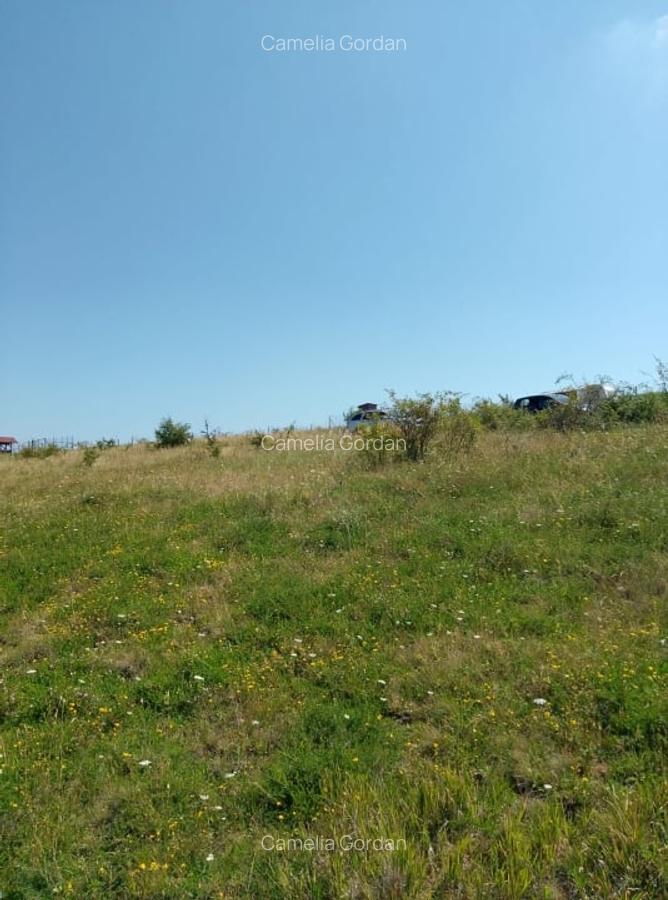 Vanzare 2 parcele de teren intravilan, Chinteni, pret unitar 10900 Eur - 1