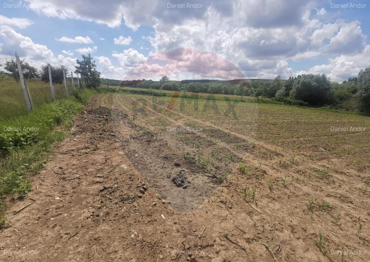 DE VANZARE TEREN INTRAVILAN ?omcuta Mare (0% comision) - 3