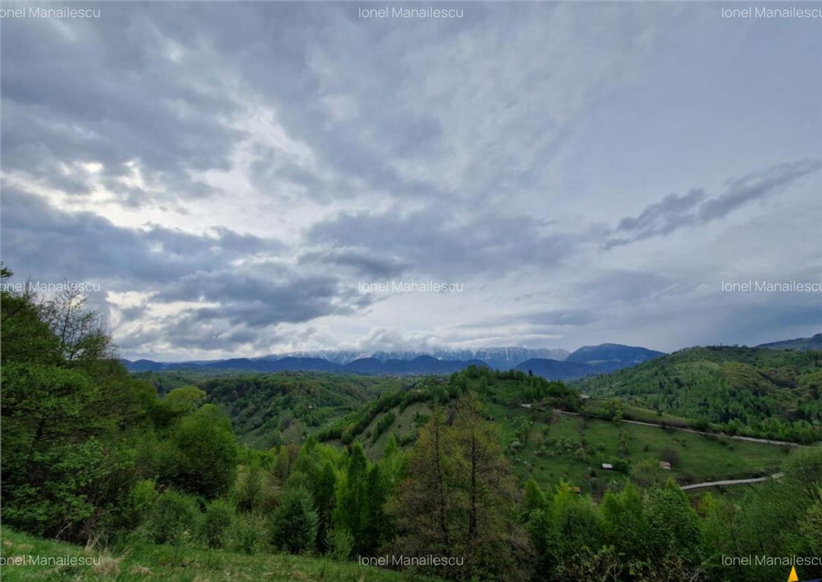7.000 mp, pozitie spectaculoasa, fara vecini, Fundatica, Bra - 21