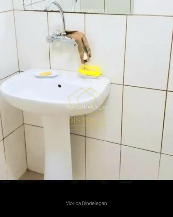 Spatiu Comercial SAD vad bun I Sagului - 7