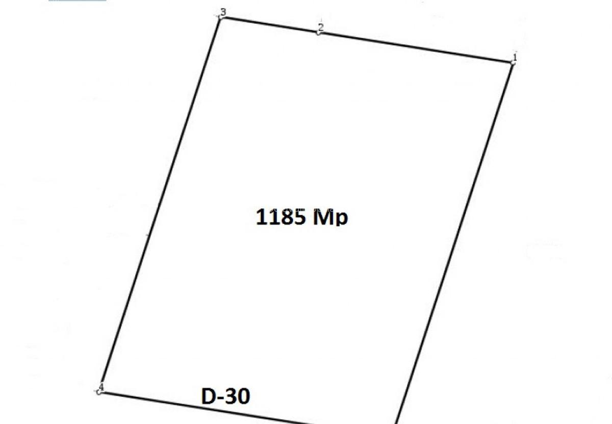 Teren Sisesti 1185 Mp New 2025 - 2
