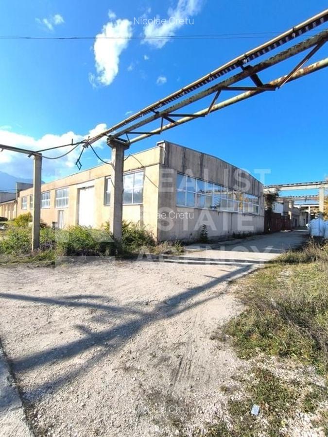 Hală de vânzare – Parcul Industrial Tohanul Vechi, Zărnești - 2