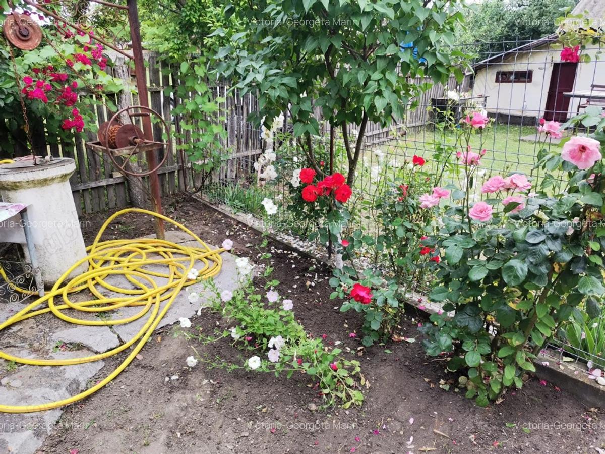 Teren cu casa de vanzare - 10