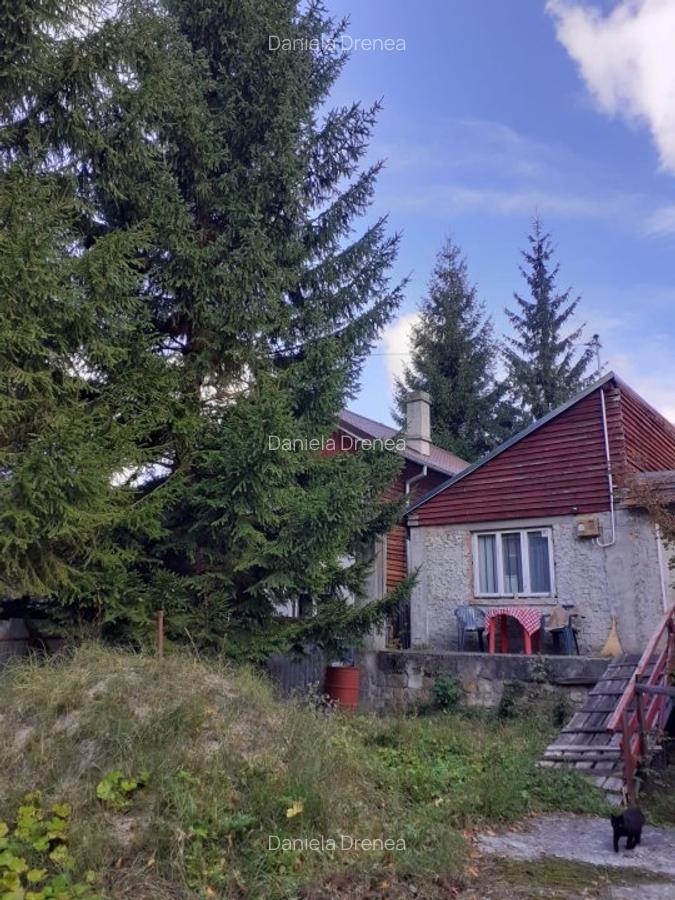 Casa zona Lepsa pret 46000 euro - 1