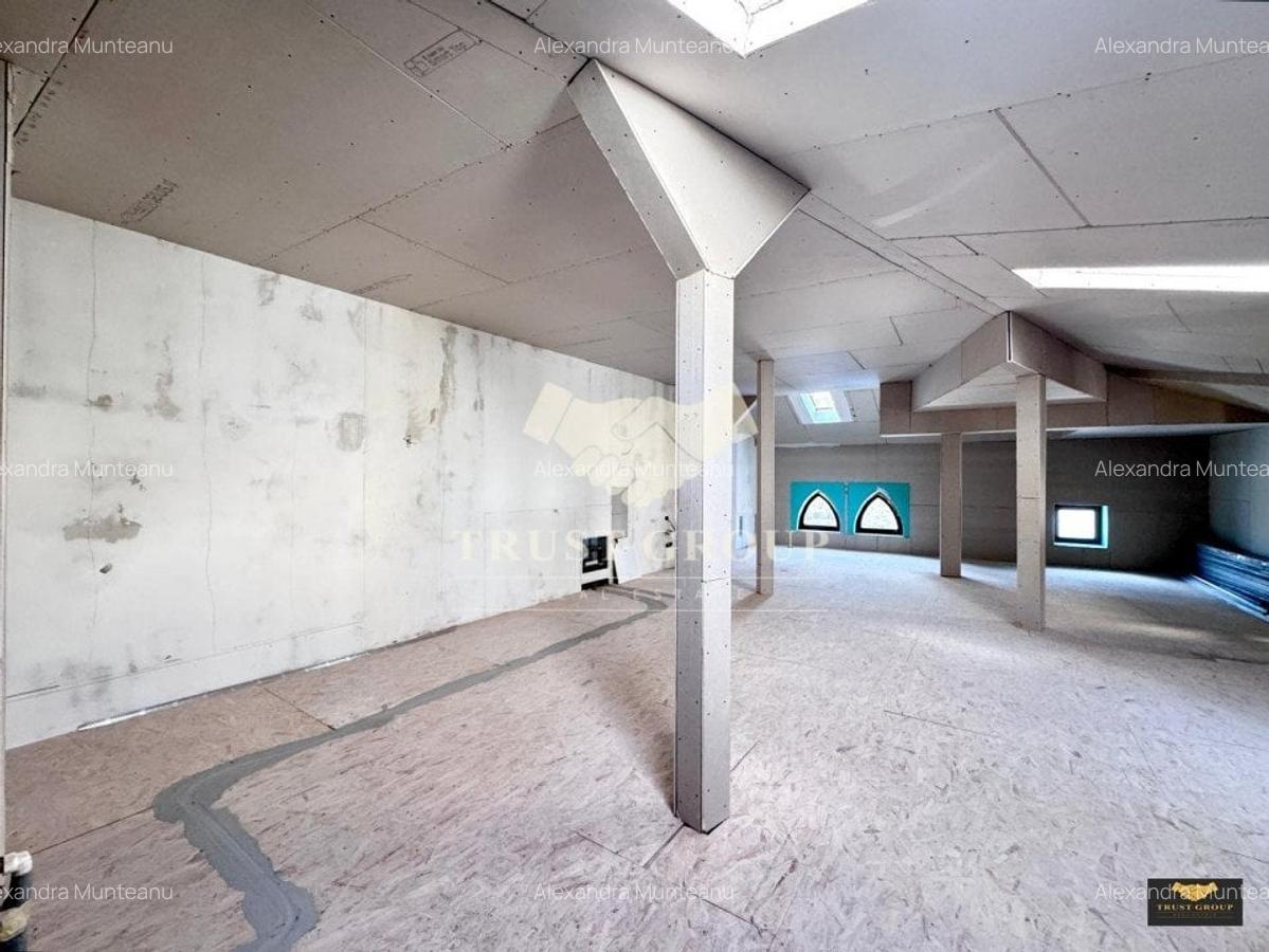 Casa individuala Gradina Icoanei | 2 Locuri Parcare | 253 mp curte libera - 23