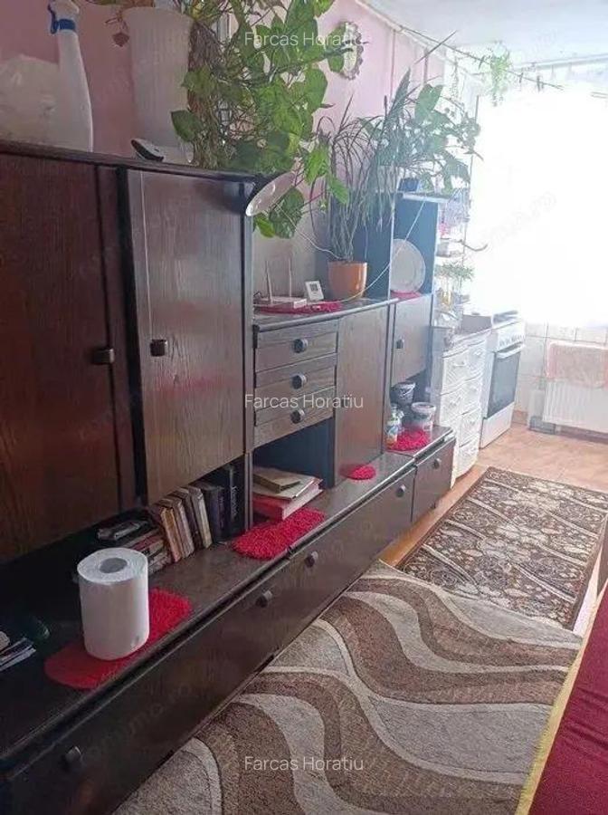 Mureseni - Vanzare apartament 1 camera - Str. Cugir - 1