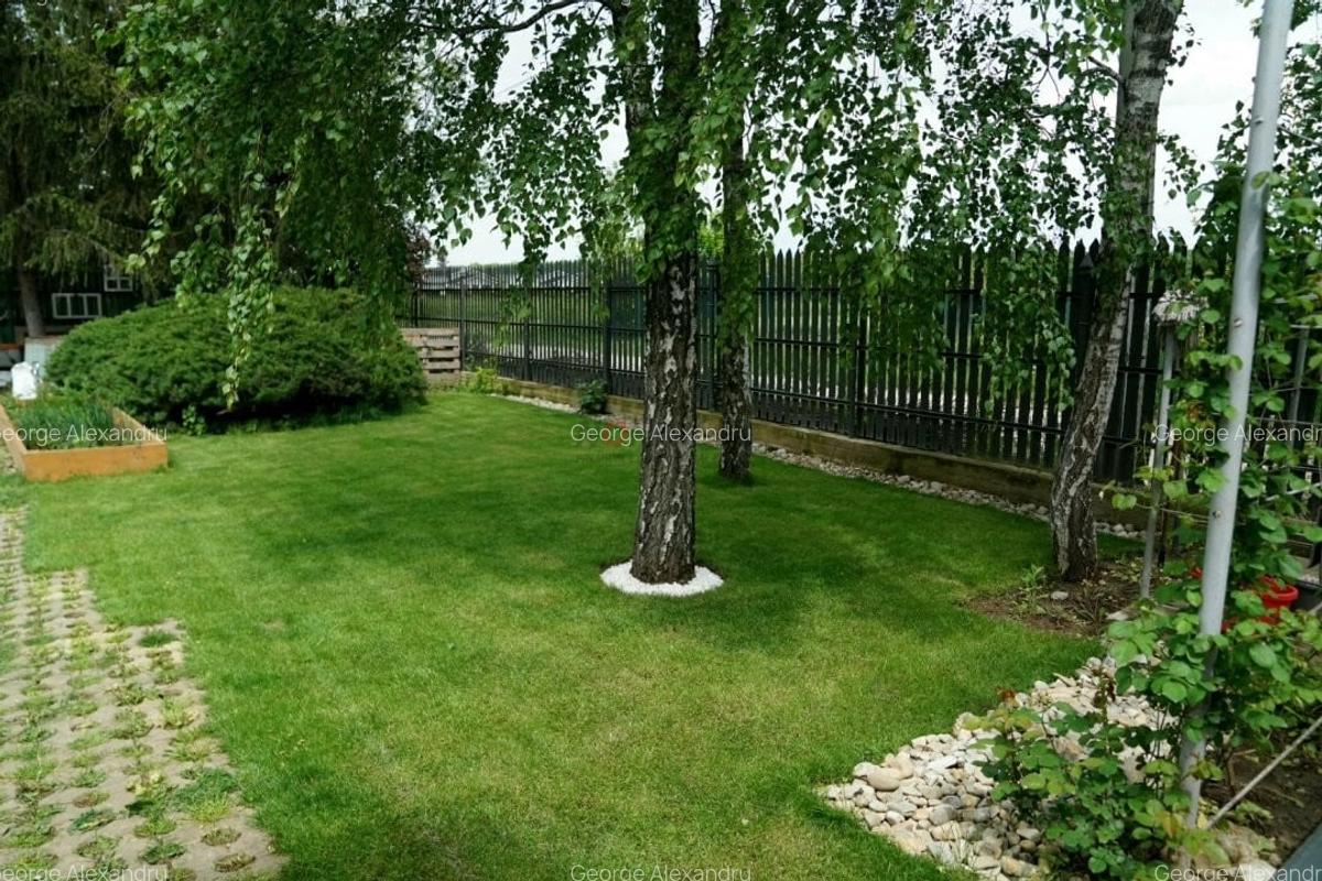 Vila 5 Camere Snagov - 4