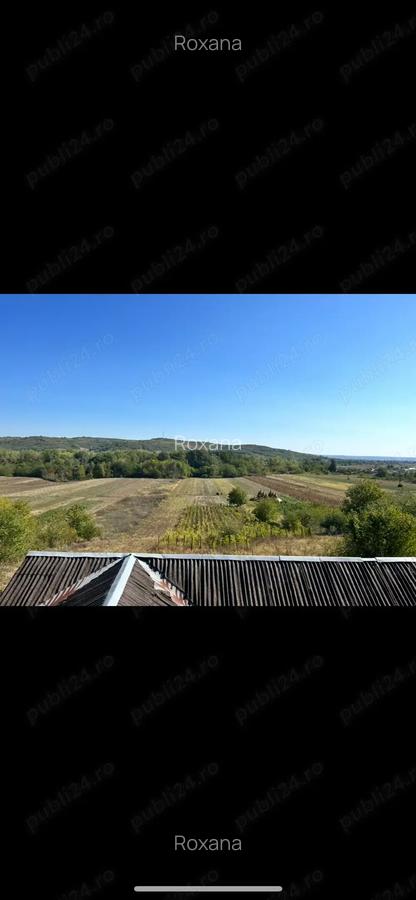 Casa P+M cu 3650 mp teren cu toate utilitatile - 2