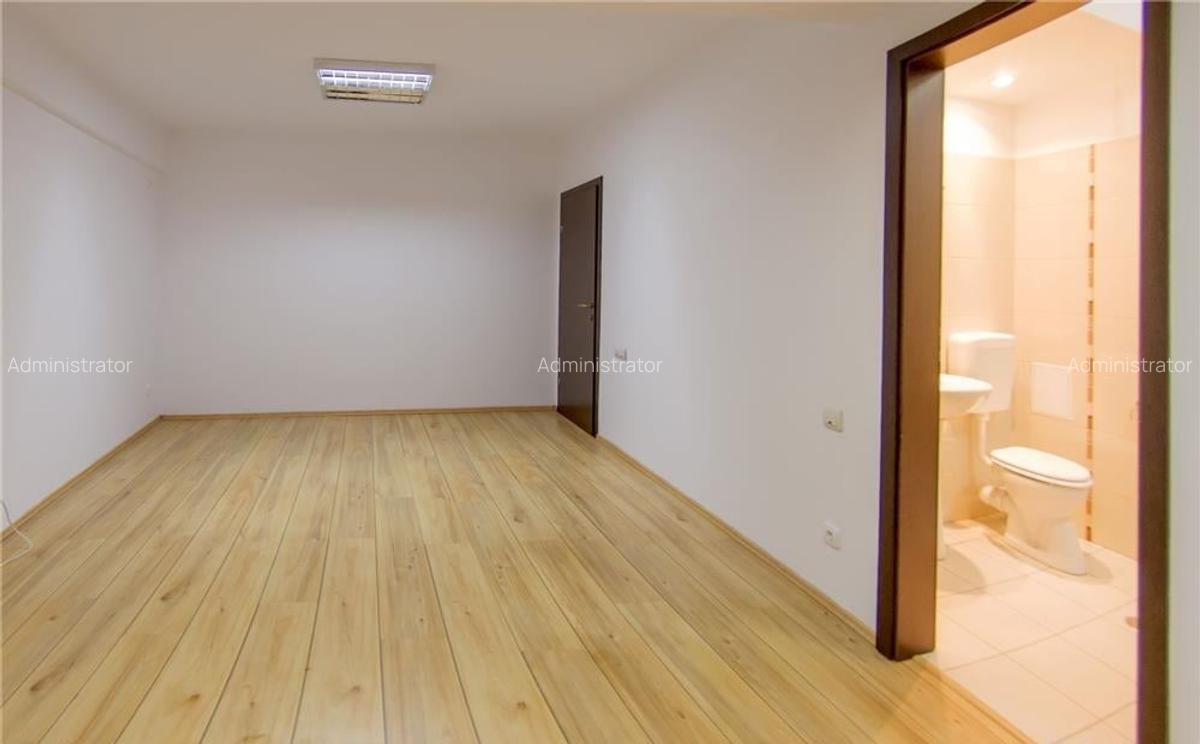 Piata Victoriei/A.I.Cuza-imobil birou ,12 camere,450mp - 9