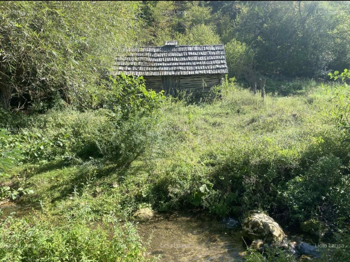 Casa de vanzare+teren - 4