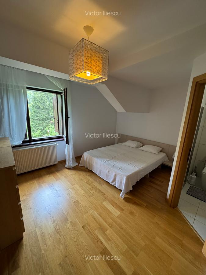 Casa de vacanta Predeal - 9