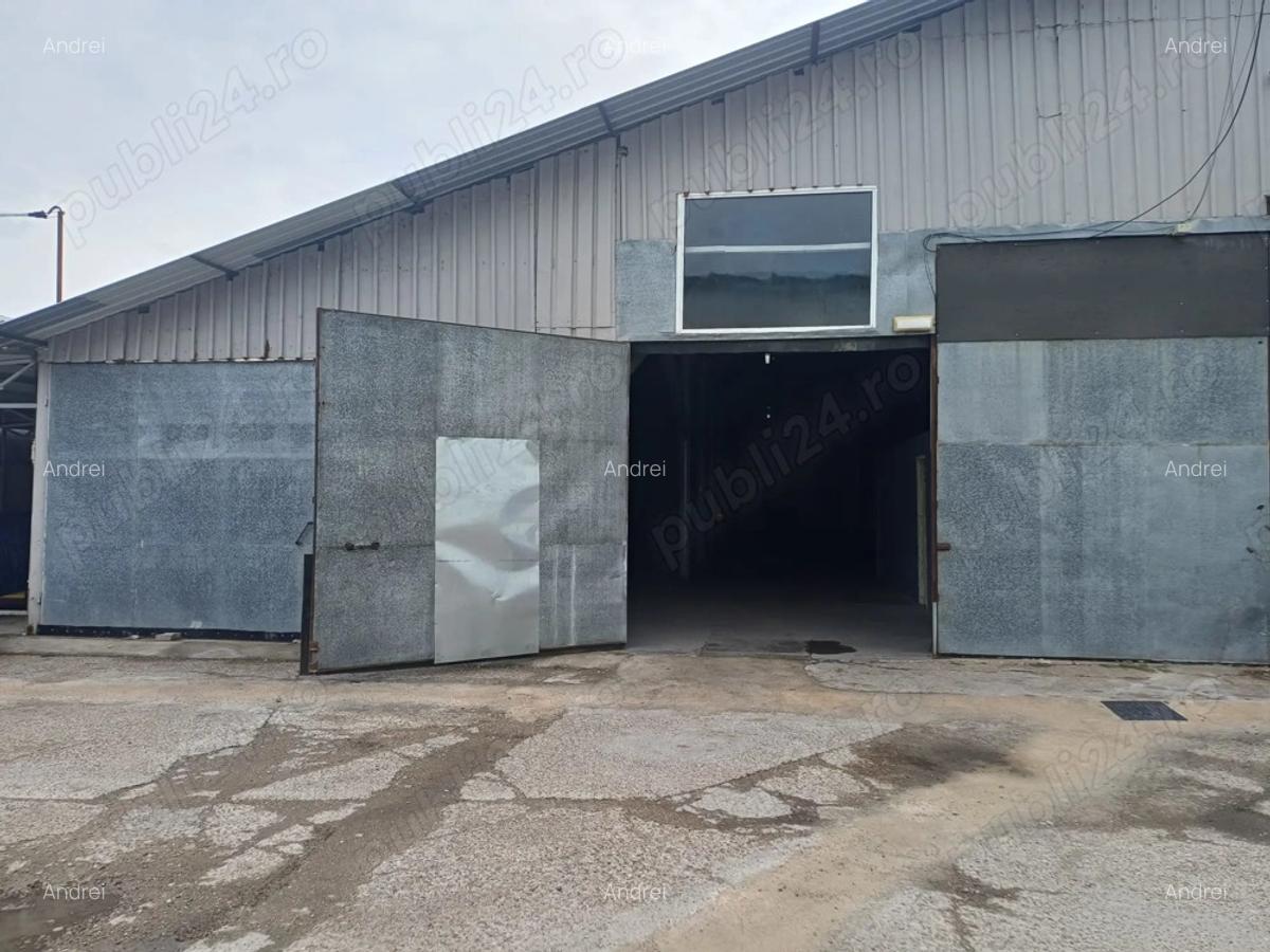 Hala de inchiriat - 440mp - 6000 lei - loc. Focsani - 5 Hala de inchiriat - 440mp - 6000 lei - loc. Focsani - 5