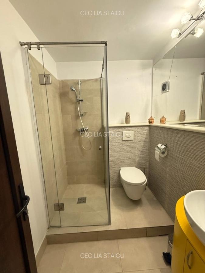 Proprietar, vand  ap 2 camere, 60 mp, et. 1, Calea Mosilor, plan secund - 9