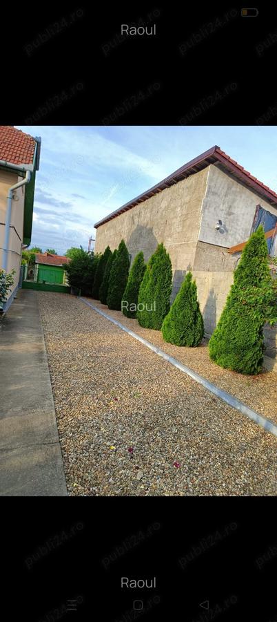 Casa de vanzare Oituz 59 - 3