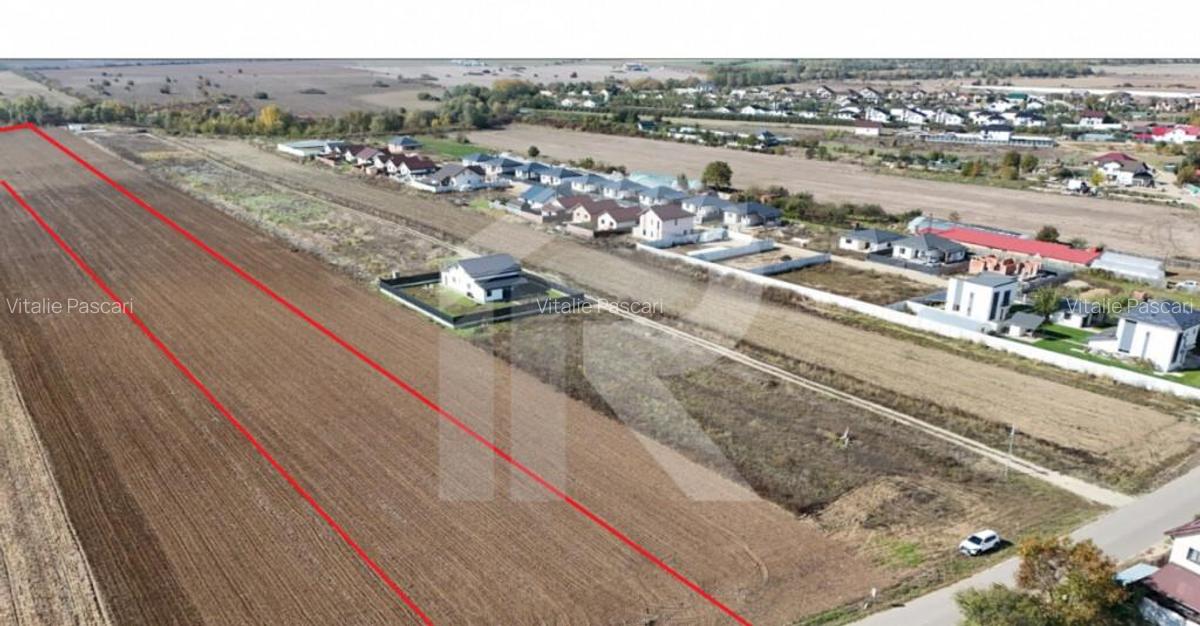 JOITA LOT 7344 MP - 3